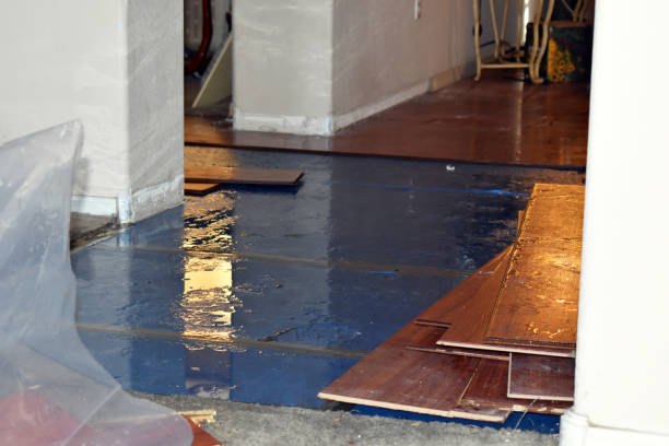 Professional Burst Pipe Cleanup technician working in Riverside, MD